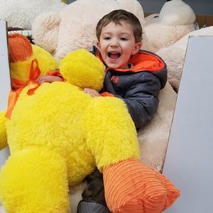 Meet your Posher, Rose